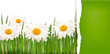 Nature background with ripped paper . Vector