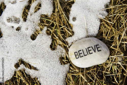 Photo: Believe in Spring's Arrival Believe in Spring's Arrival