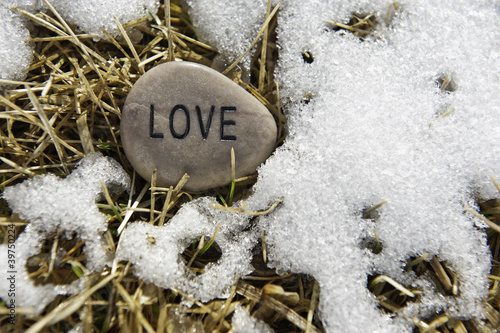 Photo: Love of Spring Love of Spring