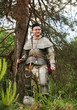 Knight in armor