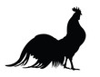 Rooster silhouette