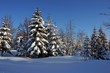 Winterlandschaft