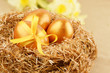 Golden eggs in the nest Golden eggs in the nest