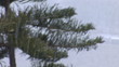 Video: snow in Jerusalem snow in Jerusalem