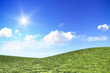 bright day in nature