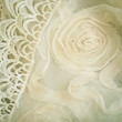 Lace and chiffon vintage background