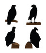 Powered Birds