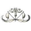 Fleurs ombélifère