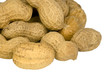 peanuts closeup on white