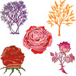 hand drawn flowers in vector