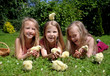 Photo: Little girls playing with chicks Little girls playing with chicks