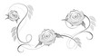 Rose 14c