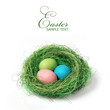 Easter nest