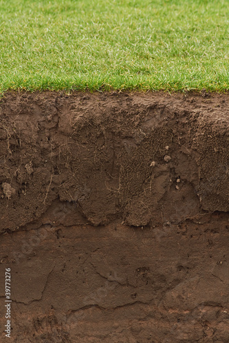 Photo: Trimmed Grass over exposed soil Trimmed Grass over exposed soil