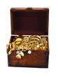 Treasure chest snake