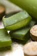 aloe vera plant with pills - herbal medicine aloe vera plant with pills - herbal medicine