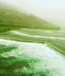 Mountain river.