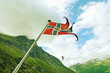 Norway flag.