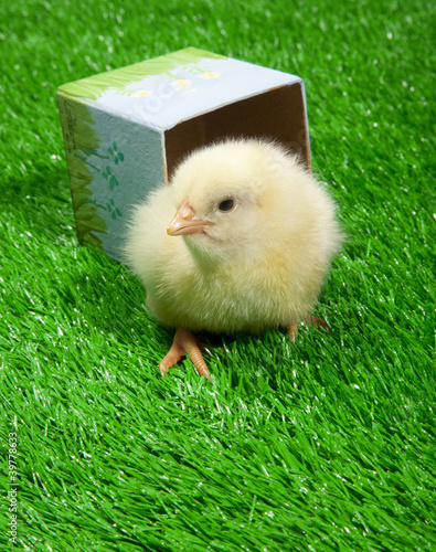 Photo: OSTERN Photo © Herby Meseritsch OSTERN Photo © Herby Meseritsch