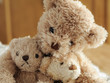 maman et oursons