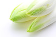 chicory on a white background