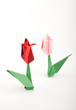 Paper flowers