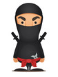 Cartoon Ninja