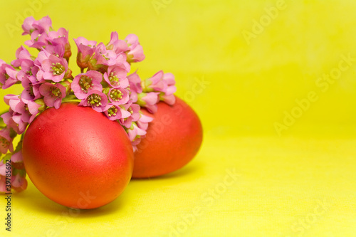 Photo: red Easter eggs and bergenia red Easter eggs and bergenia