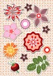 floral elements flowers and buds for scrap booking