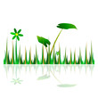 Vector: grass green illustration with flower grass green illustration with flower
