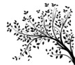Vetor: tree branches silhouette isolated white background tree branches silhouette isolated white background