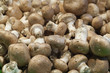 brown mushrooms