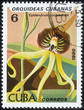 stamp, macro