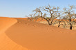 footprints on sand