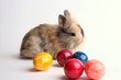 Osterhase