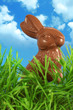 Photo: Easter bunny Easter bunny