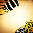 Vektor: Vintage background with some animal prints Vintage background with some animal prints