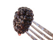 Dripping blackberry