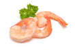 Crevetten