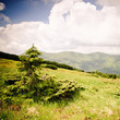Carpathian mountains