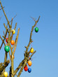 Some colourfull easter eggs hanging at branches
