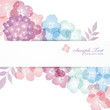 hydrangea background