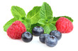 Berry with twigs of mint
