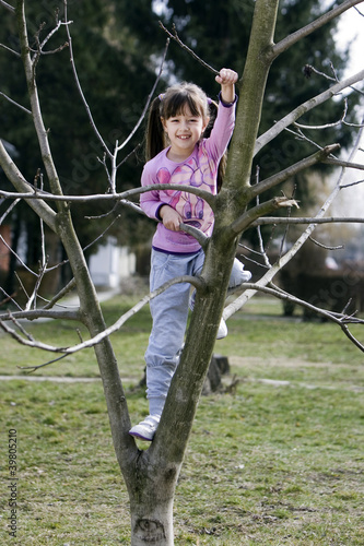 Photo: tree climbing tree climbing