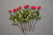 nine red roses