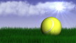 Vidéo : Tennis Ball in Grass - HD1080 Tennis Ball in Grass - HD1080