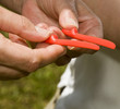 Foto: tropical flower plant seed pods machete shape tropical flower plant seed pods machete shape