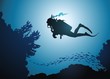 Diver