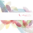 feather background