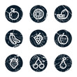Vektor: Fruits web icons, grunge circle buttons Fruits web icons, grunge circle buttons